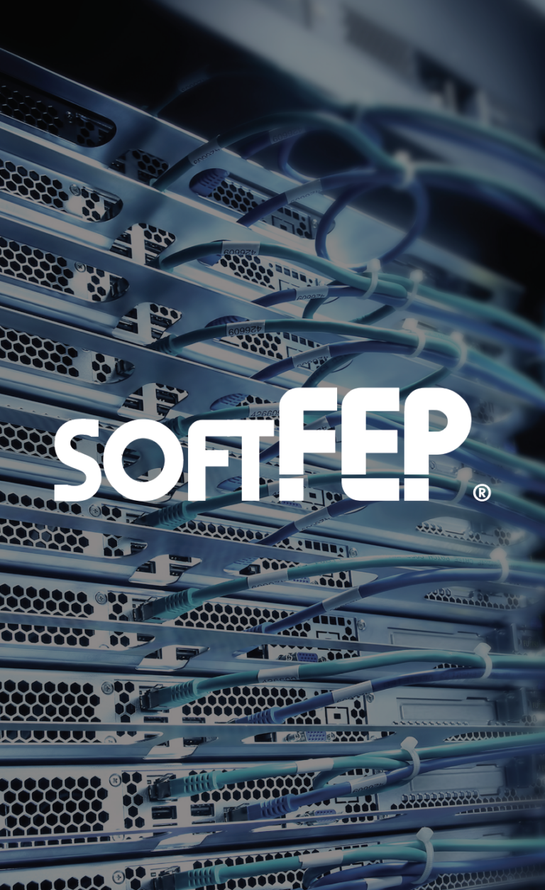 softFEP card